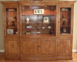 Media Unit