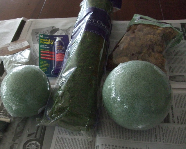 Moss Ball Supplies